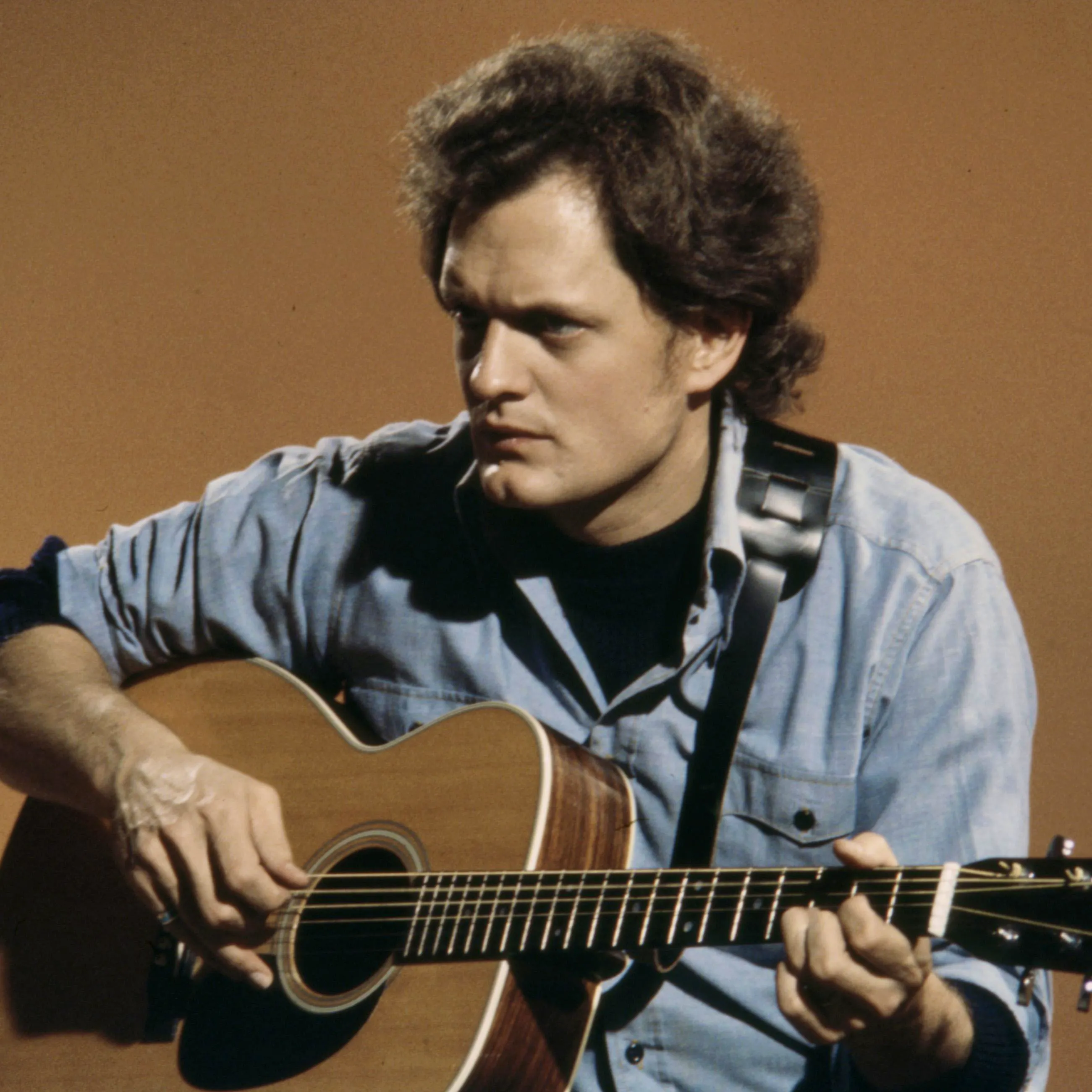 Harry Chapin image