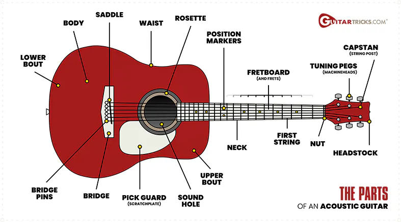 Get to Know Your Guitar