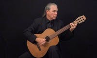 Haydn 'Surprise': Performance Wide View