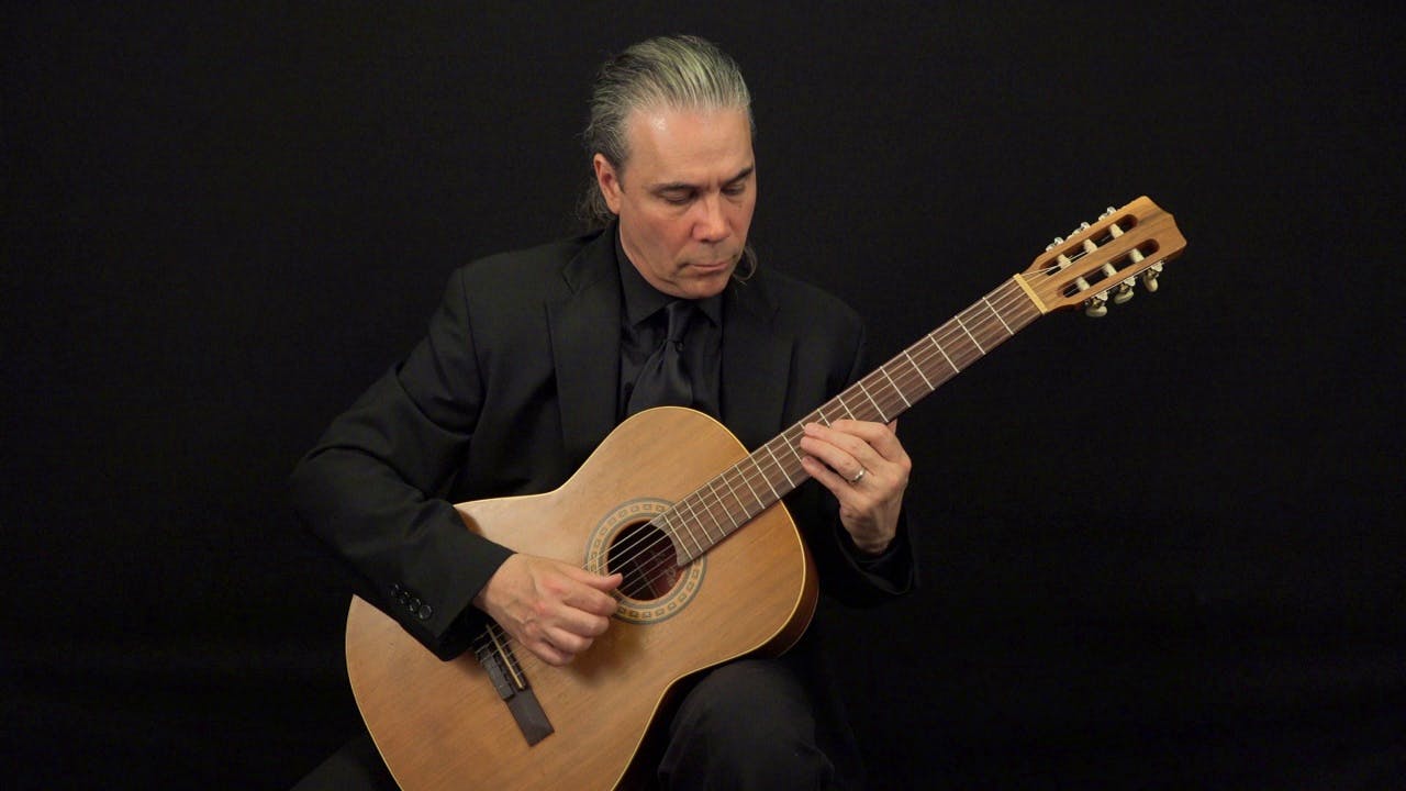 Tarrega 'Endecha': Performance Wide View