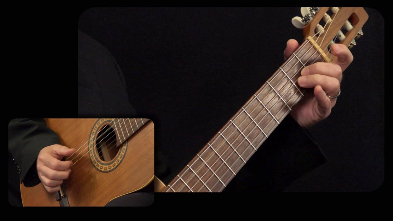Carulli 'Waltz In E Major':  Performance Close View