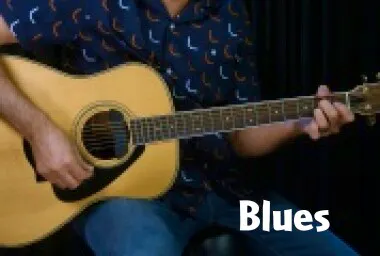 I Got The Blues (Made Easy): Performance