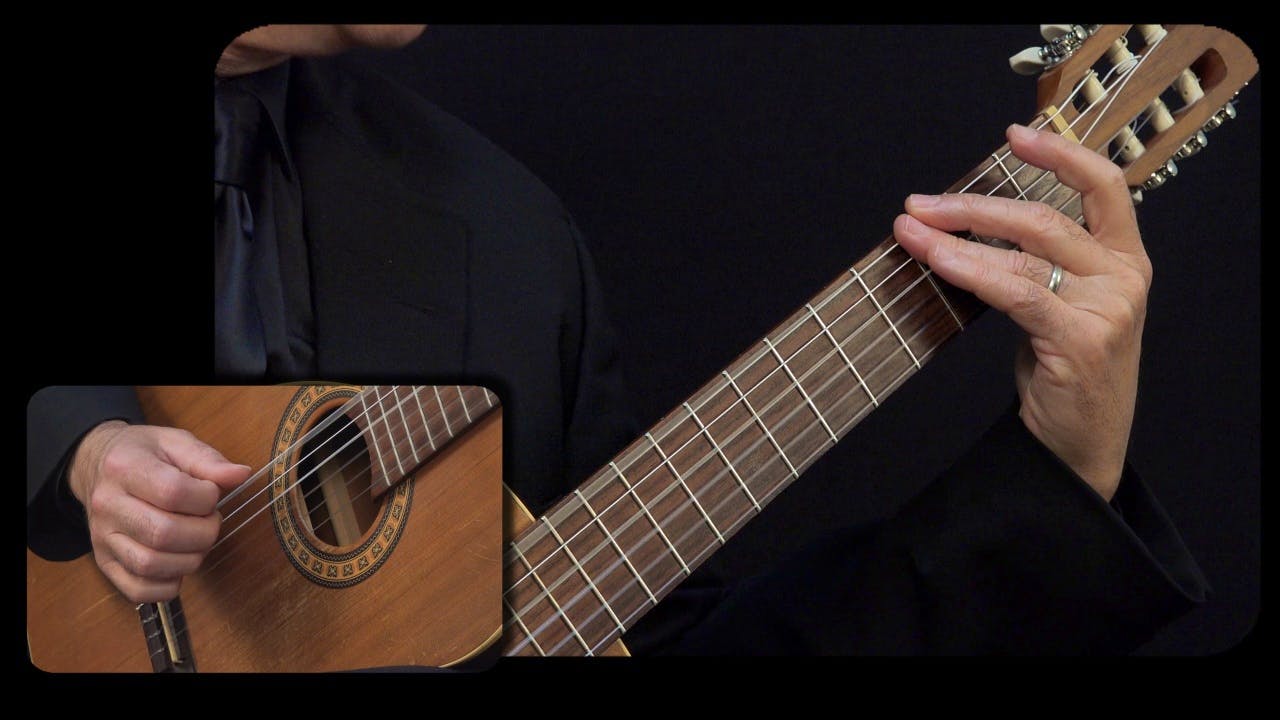Sor 'Study No. 1 Opus 60': Performance Close View