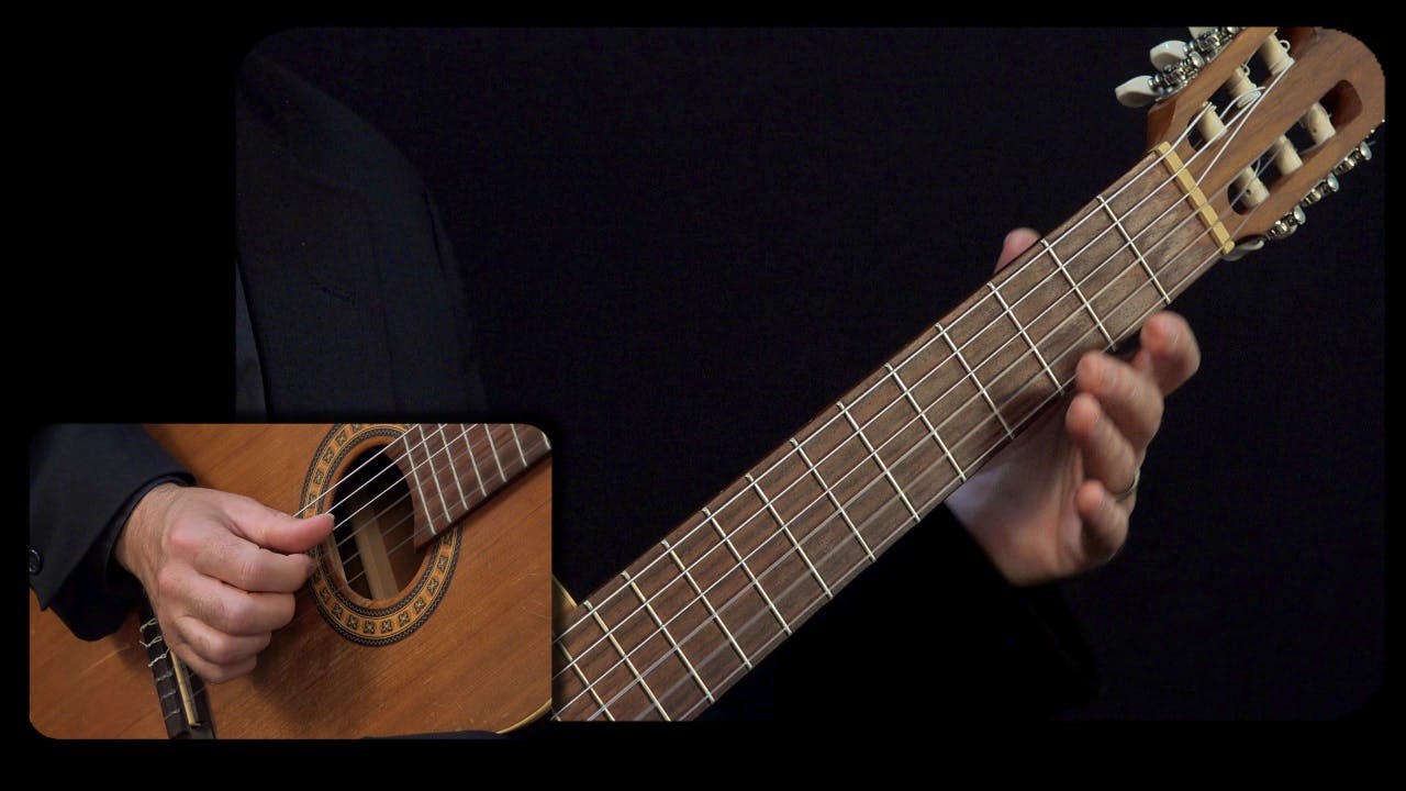 Sor 'Study No. 2, Opus 60' Performance Close View