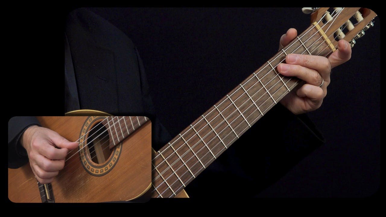 Sor 'Study No. 3 Opus 60' Performance Close View