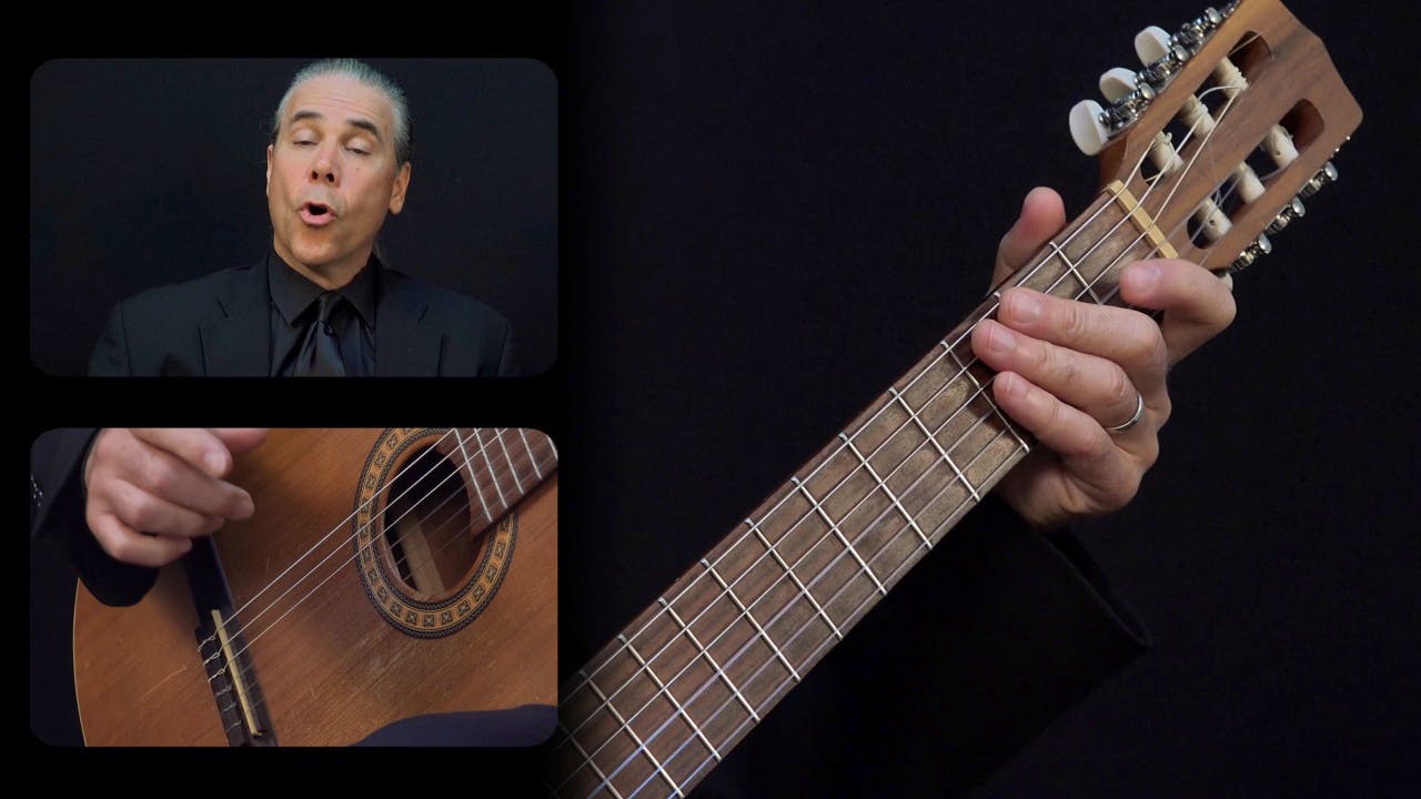 Carulli 'Andantino' Op. 241, No. 5:  Overall Form