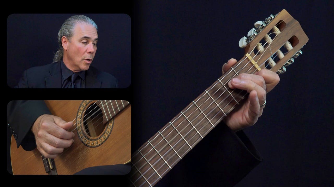 Carulli 'Waltz' Op. 241 No. 1: Overall Form