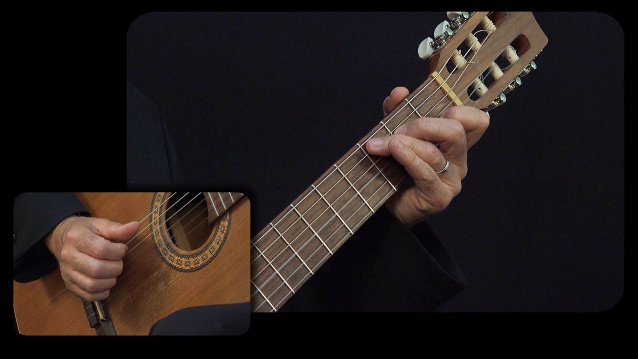 Carulli 'Waltz' Op. 241 No. 1: Performance Close View