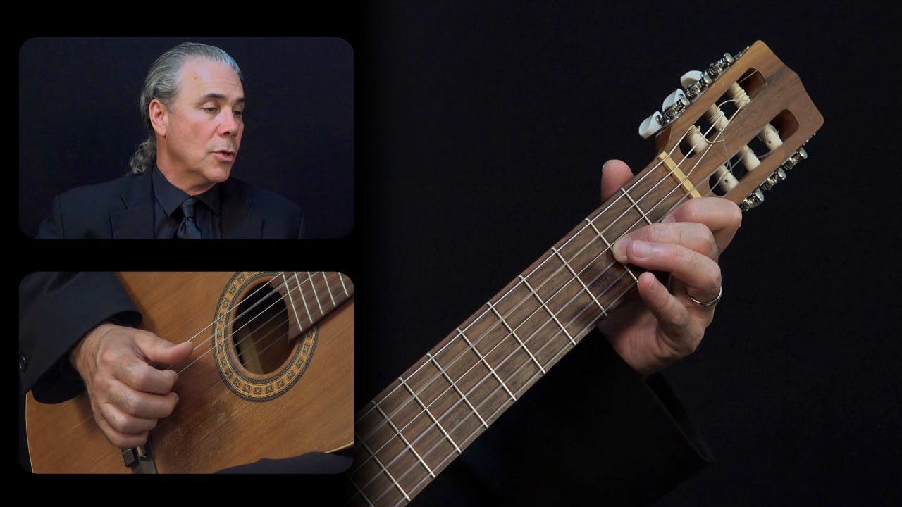 Carulli 'Andante' Op. 241, No. 2: Overall Form