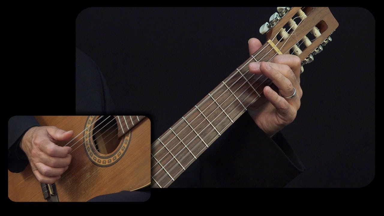 Carulli 'Andante' Op. 241, No. 2: Performance Close View