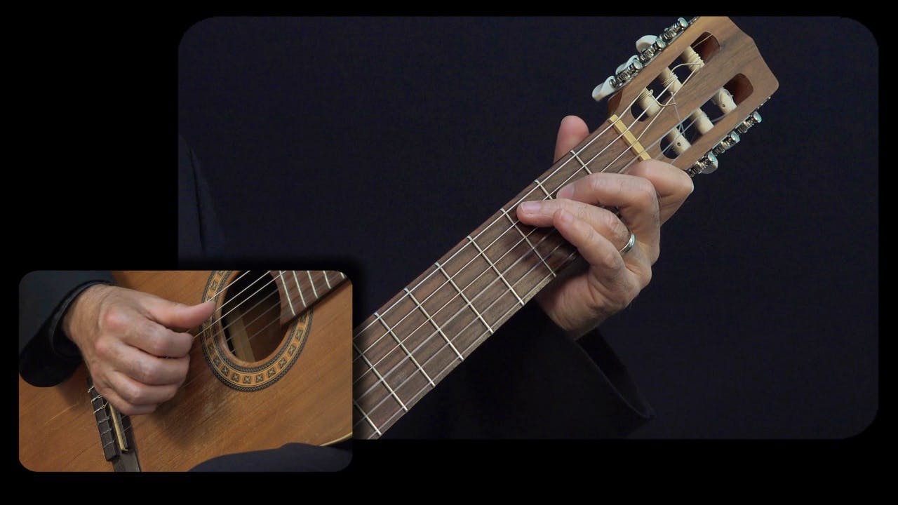Carulli 'Andante' Op. 241, No. 3: Performance Close View