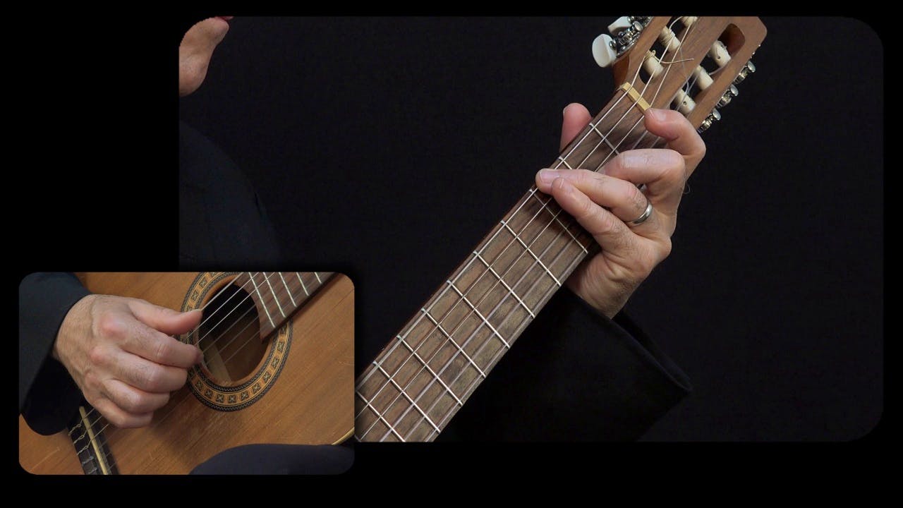 Bach 'Air On The G String': Full Performance Close View