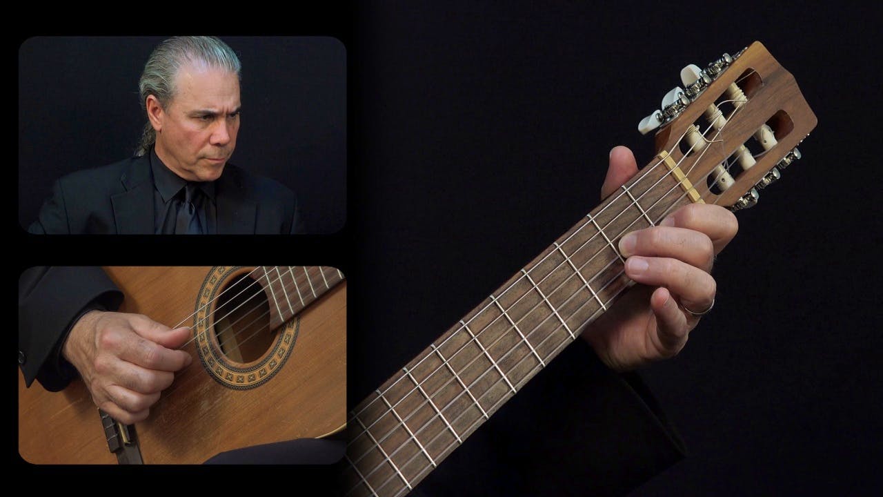 Carulli 'Waltz' Op. 241 No. 4: Overall Form