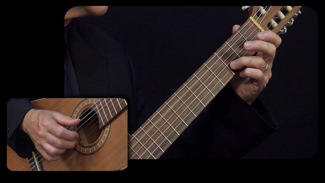 Bach 'Sleepers Awake': Full Performance Close View